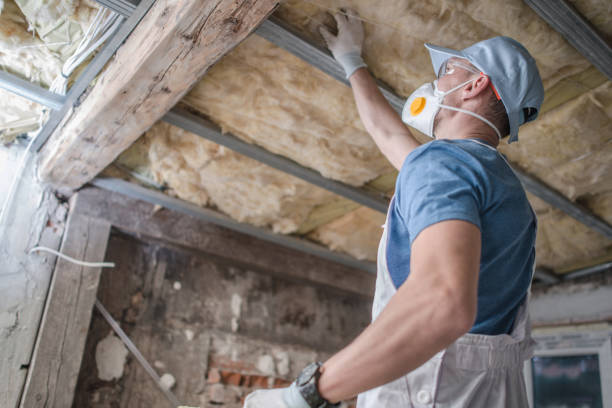 Best Types of Insulation in Brices Creek, NC