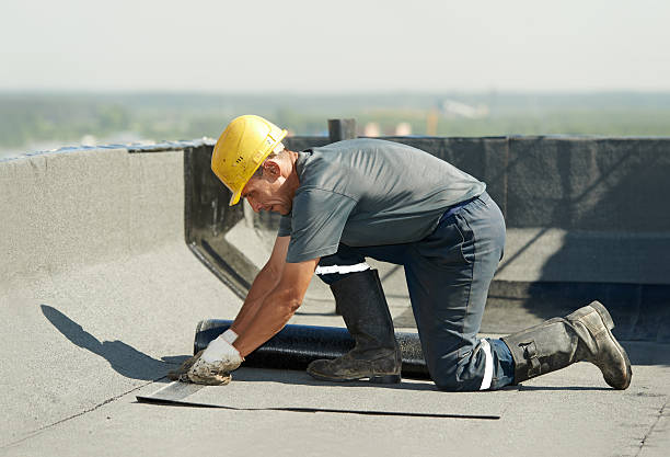 Best Residential Insulation in Brices Creek, NC